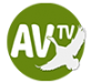 Av TV